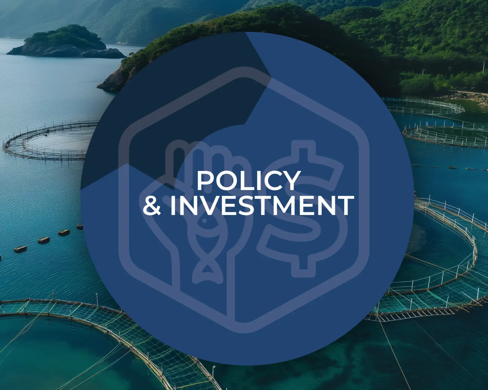 Policy & Investment