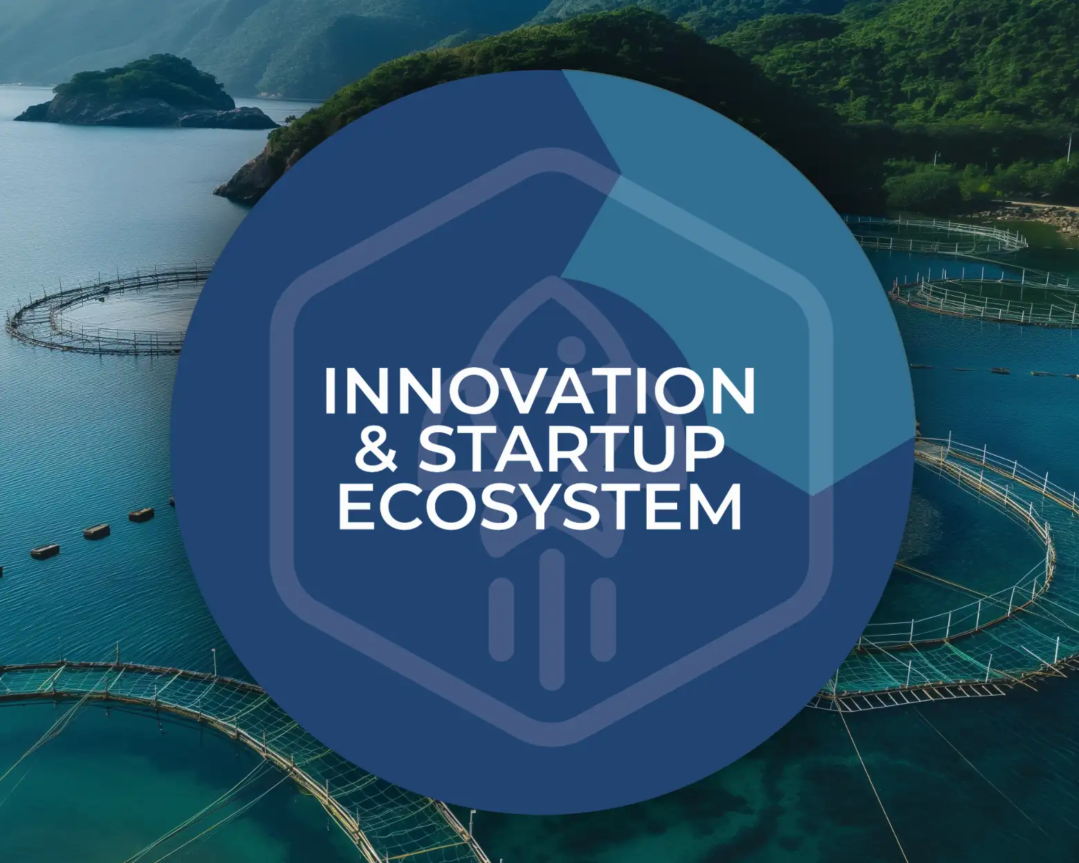 Innovation & Startup Ecosystem