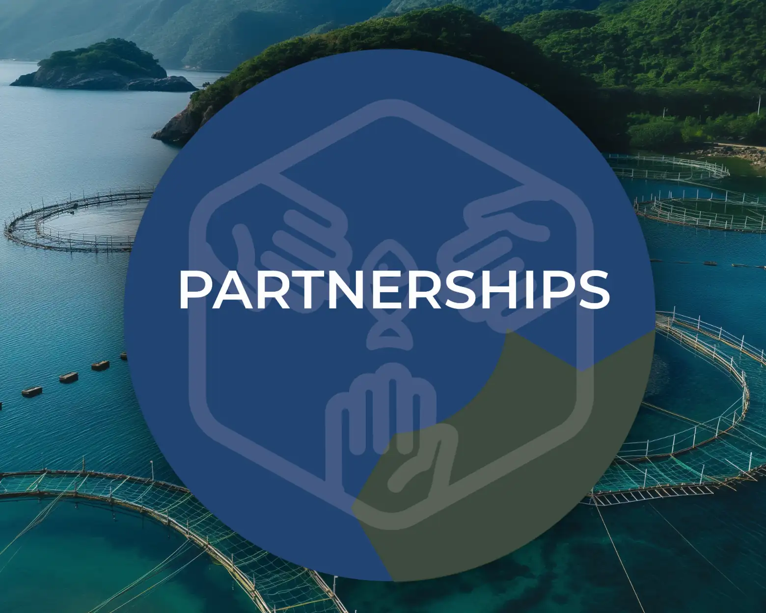 Partnerships